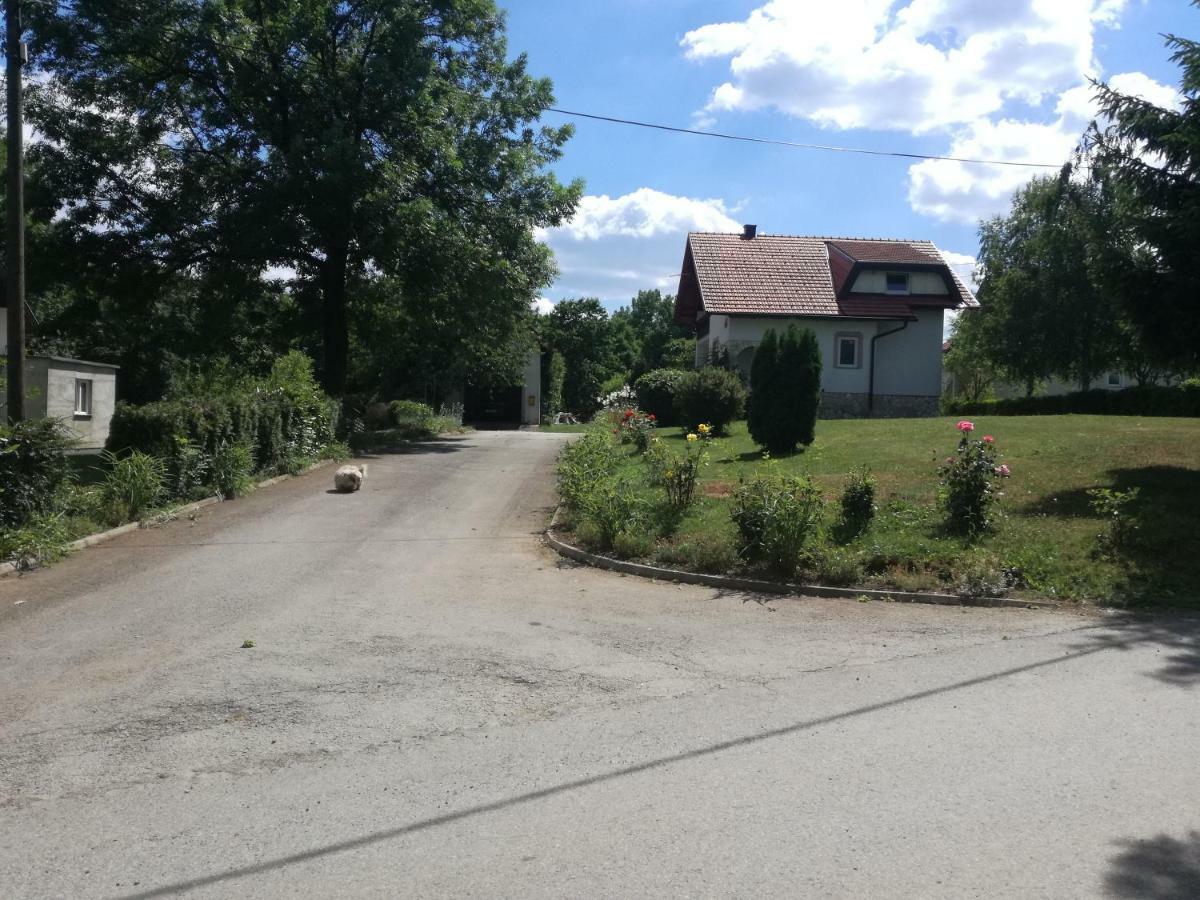 Apartament Apartman Jasmin Čatrnja Zewnętrze zdjęcie
