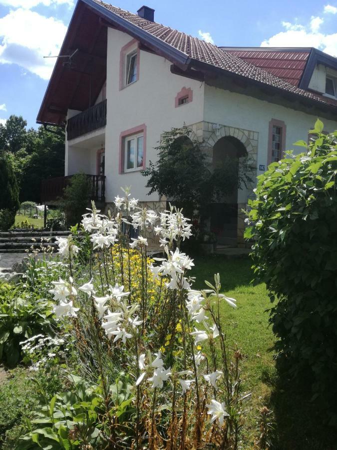 Apartament Apartman Jasmin Čatrnja Zewnętrze zdjęcie